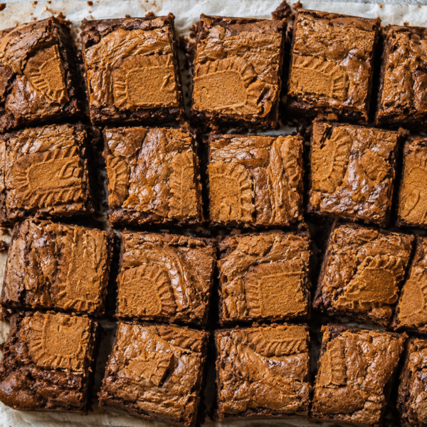 Lotus Brownie